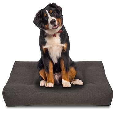 100 x 80 x 19 cm Petzzz ergonoomiline koerapadi Milo suurus L