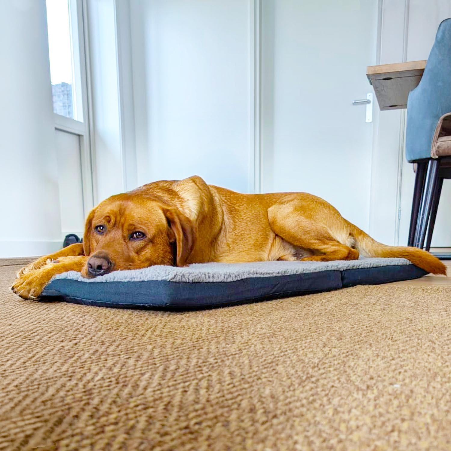 Petzzz alfombrilla ergonómica para mascotas Diva L 100 x 70x 5 cm, plegable, antideslizante