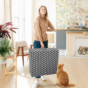 Colchón plegable CloudComfort Basic 70 x 195 cm con dibujo de gato, 10 cm de altura
