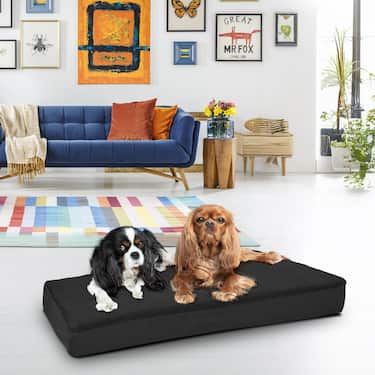 100 x 65 x 10 cm ergonoomiline koerapadi suurus L, värvus must