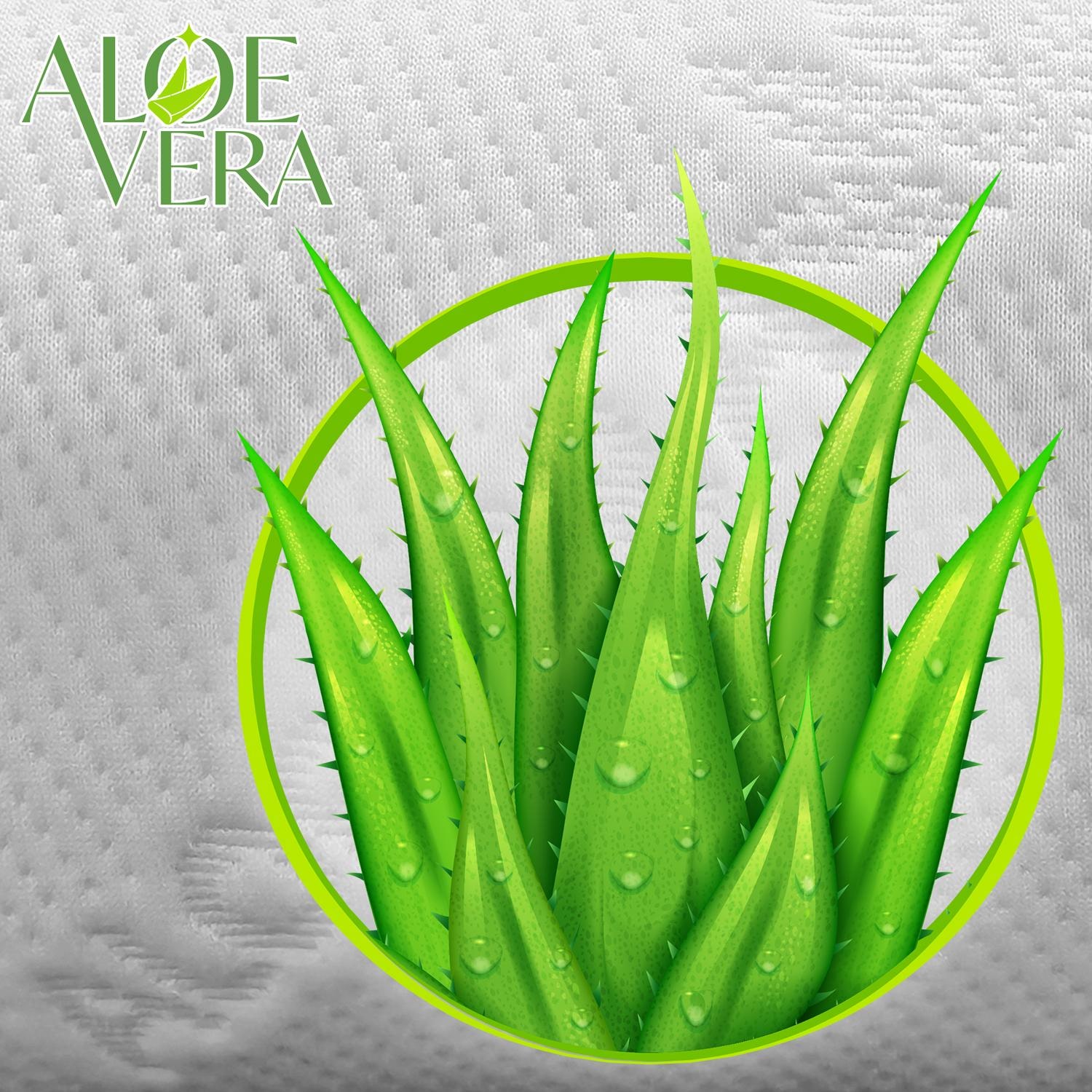 Knee and neck roll Visco Aloe Vera with memory foam 40 x 15 cm