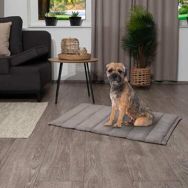 Petzzz koeratekk Fred XL 120 x 80 x 4 cm