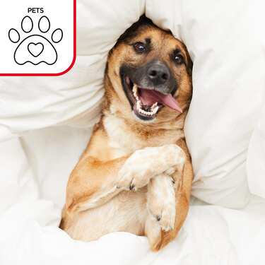 Setex impermeable molleton protector de colchón Fixspann 180 x 200 cm, protector de colchón de algodón 100% en blanco