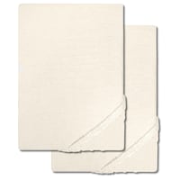 Castell mikrokiust interlock trikotaažist vahetuslina šampanja 90 x 190 - 100 x 200 cm topeltpakendis