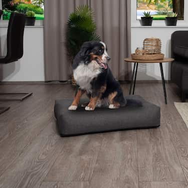 120 x 100 x 20 cm Petzzz ergonoomiline koerapadi Milo suurus XL