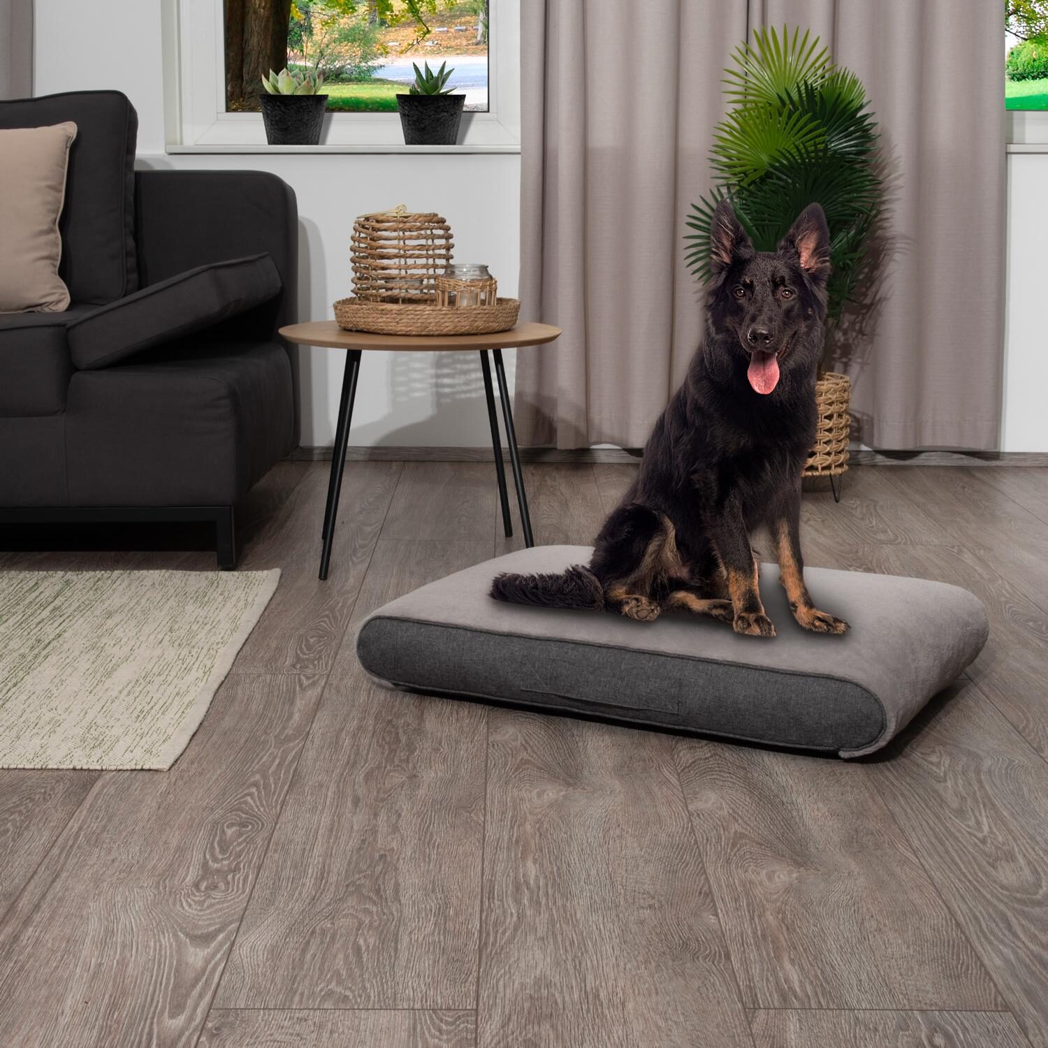 118 x 81 x 15 cm Cojín ortopédico para perros Petzzz Rocky talla XL