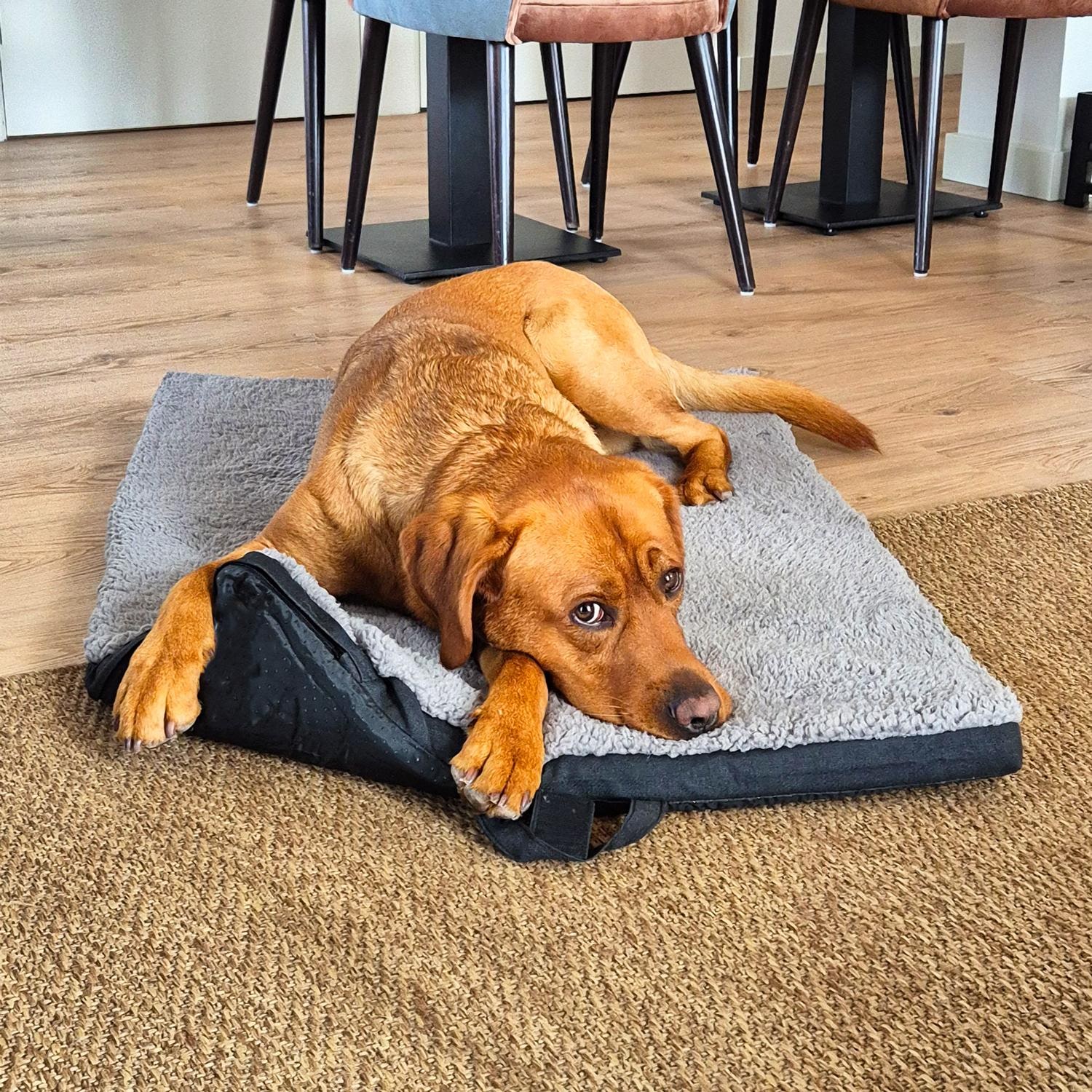 Petzzz alfombrilla ergonómica para mascotas Diva XL 120 x 80x 5 cm, plegable, antideslizante