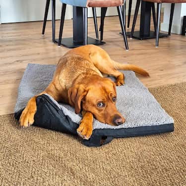 Petzzz ergonomisk kjæledyrmatte Diva XL 120 x 80x 5 cm, sammenleggbar, sklisikker