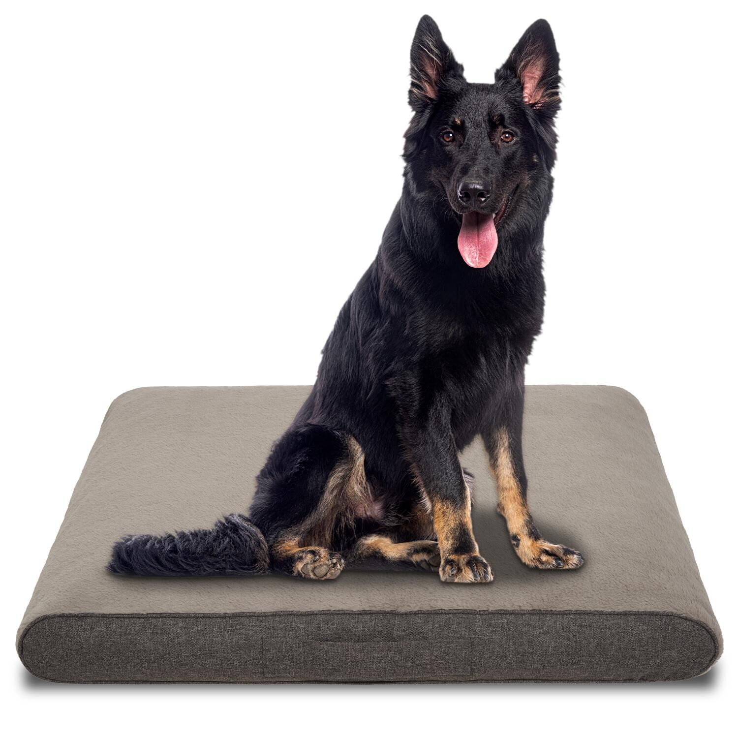 118 x 81 x 15 cm Cojín ortopédico para perros Petzzz Rocky talla XL