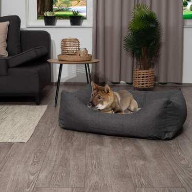 Лежак для собак Petzzz Lucky XL 120 x 85 x 31 см з ортопедичною внутрішньою подушкою