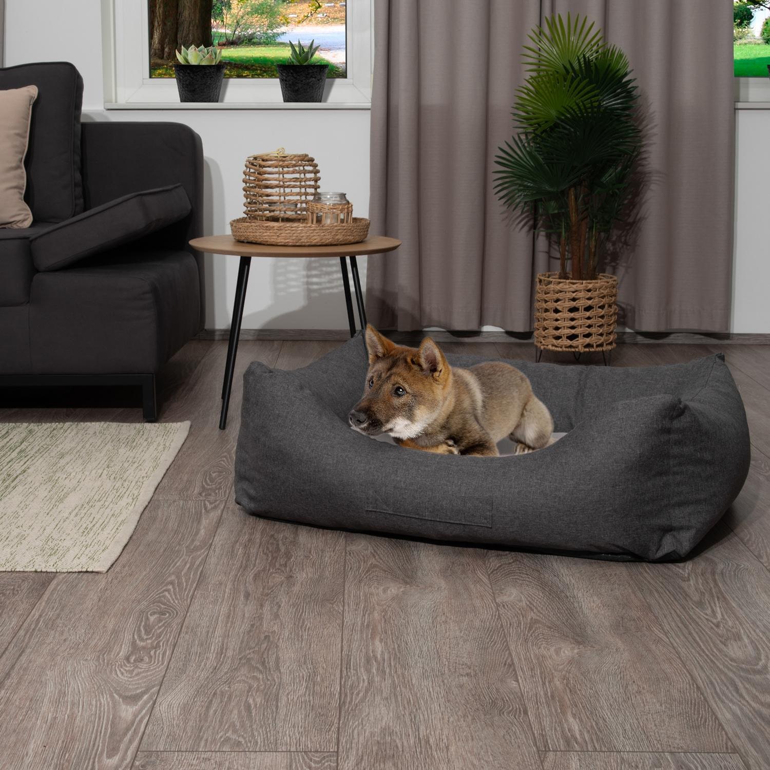 Cama para perro Petzzz Lucky L 100 x 70 x 27 cm con cojín interior ortopédico