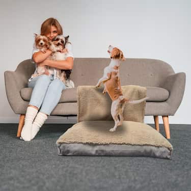 120 x 80 x 11 cm jel pullu köpek matı XL boy, çıkarılabilir battaniyeli