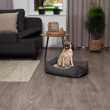 Cama para perro y gato Petzzz Felix S 60 x 40 x 17 cm con cojín interior reversible