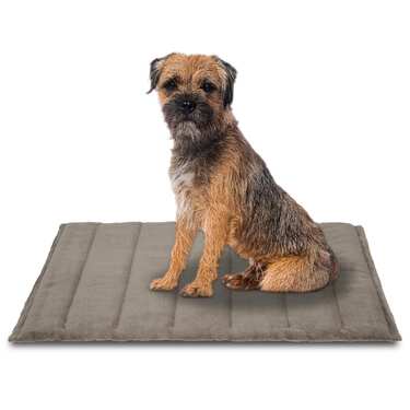 Petzzz koeratekk Fred L 100 x 65 x 4 cm