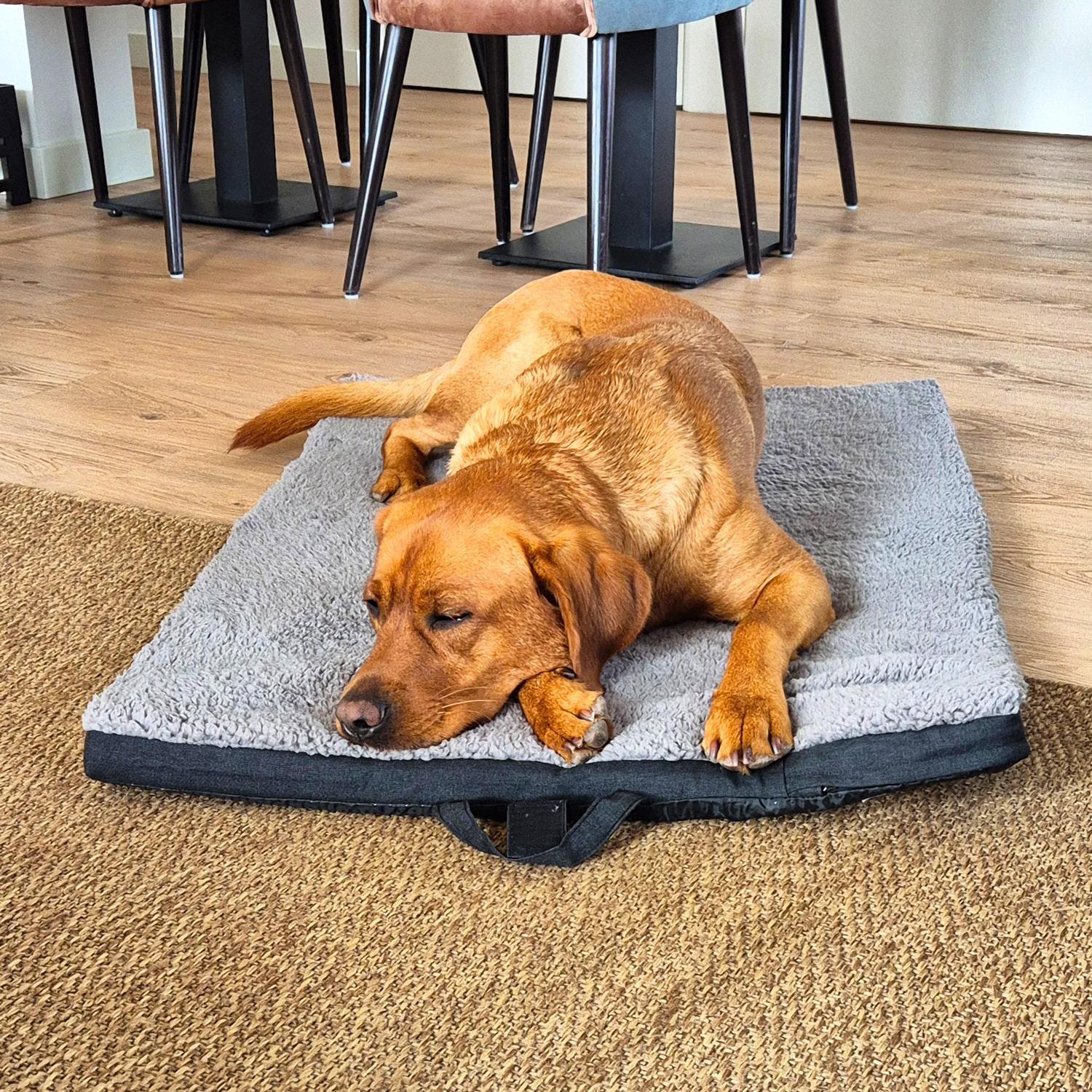 Petzzz alfombrilla ergonómica para mascotas Diva L 100 x 70x 5 cm, plegable, antideslizante