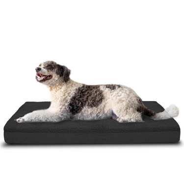 120 x 75 x 10 cm Petzzz ortopeediline koerapadi suurus XL värvus must