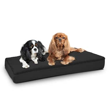 75 x 50 x 8 cm ergonoomiline koerapadi suurus S, värvus must