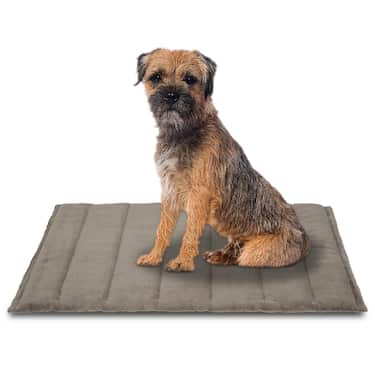 Petzzz koeratekk Fred XL 120 x 80 x 4 cm