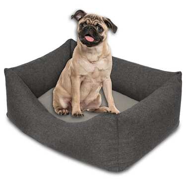 Cama para perro y gato Petzzz Felix S 60 x 40 x 17 cm con cojín interior reversible