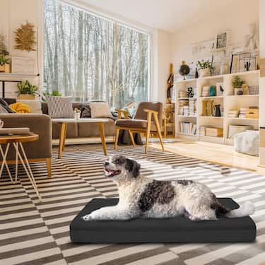 120 x 75 x 10 cm Petzzz ortopeediline koerapadi suurus XL värvus must