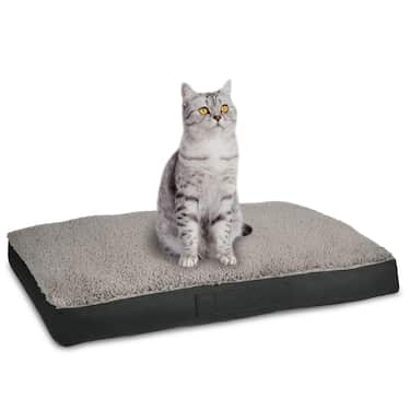 Cojín ergonómico para perros Petzzz Wormi L 100 x 70 x 14 cm